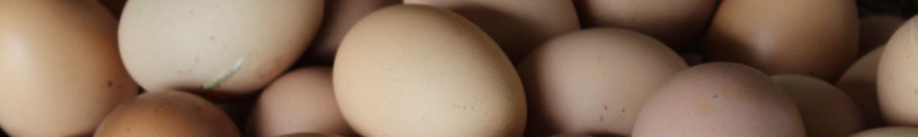 Huevos