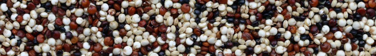 Quinoa